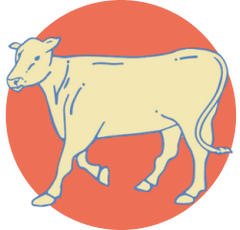 Cow icon with background