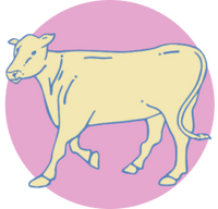 Cow icon pink