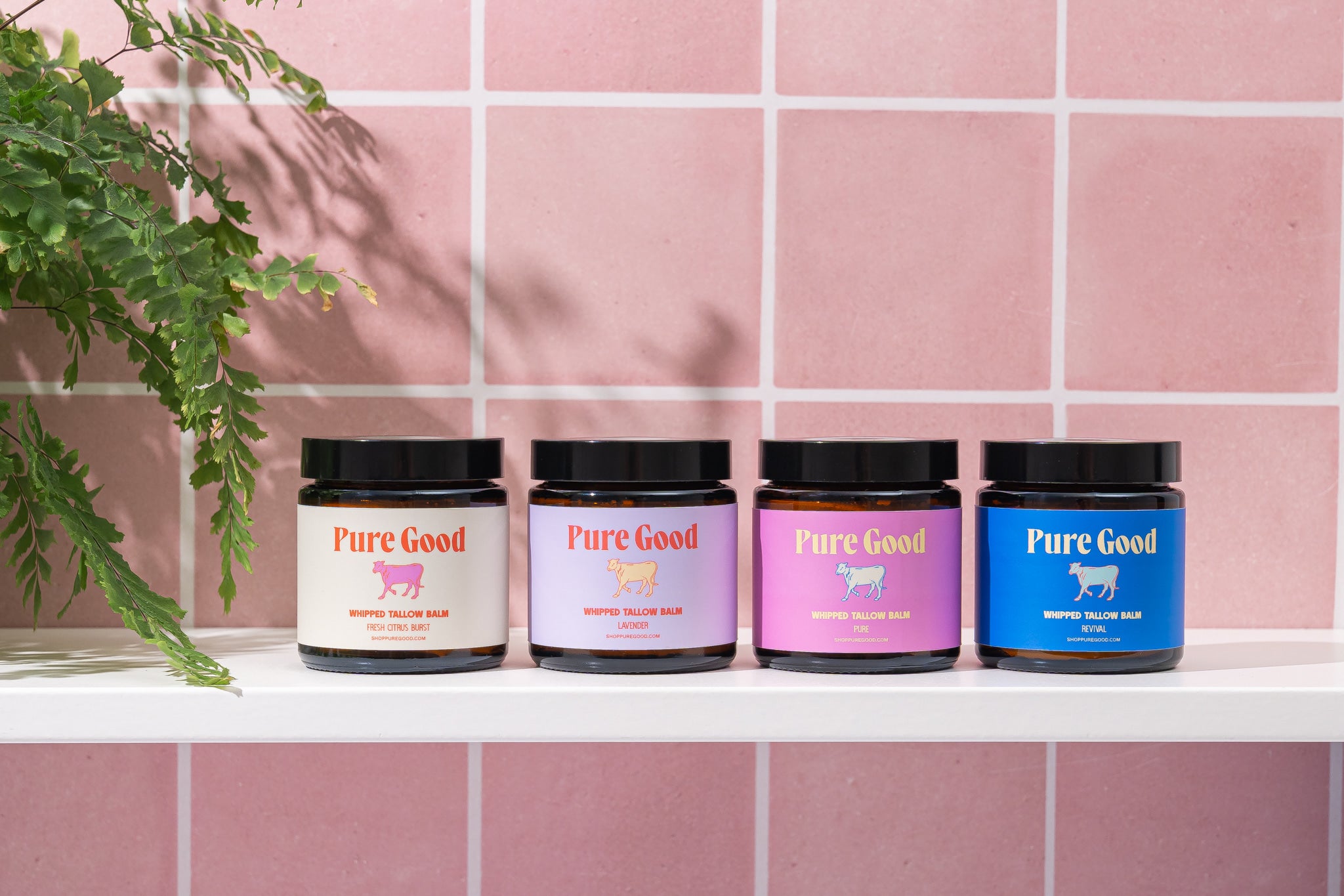 Bestselling Sampler Set