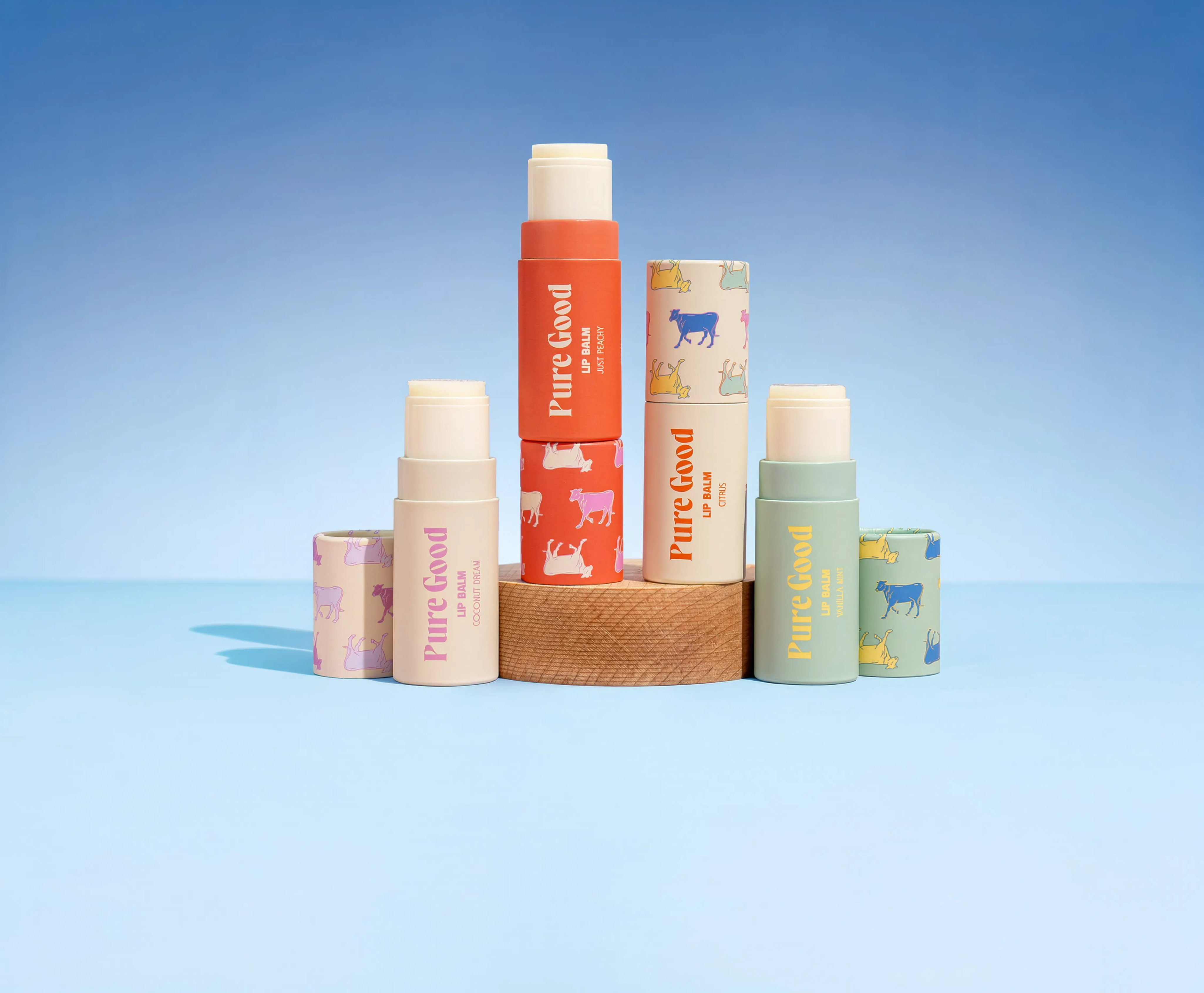 Lip Balm Variety Pack